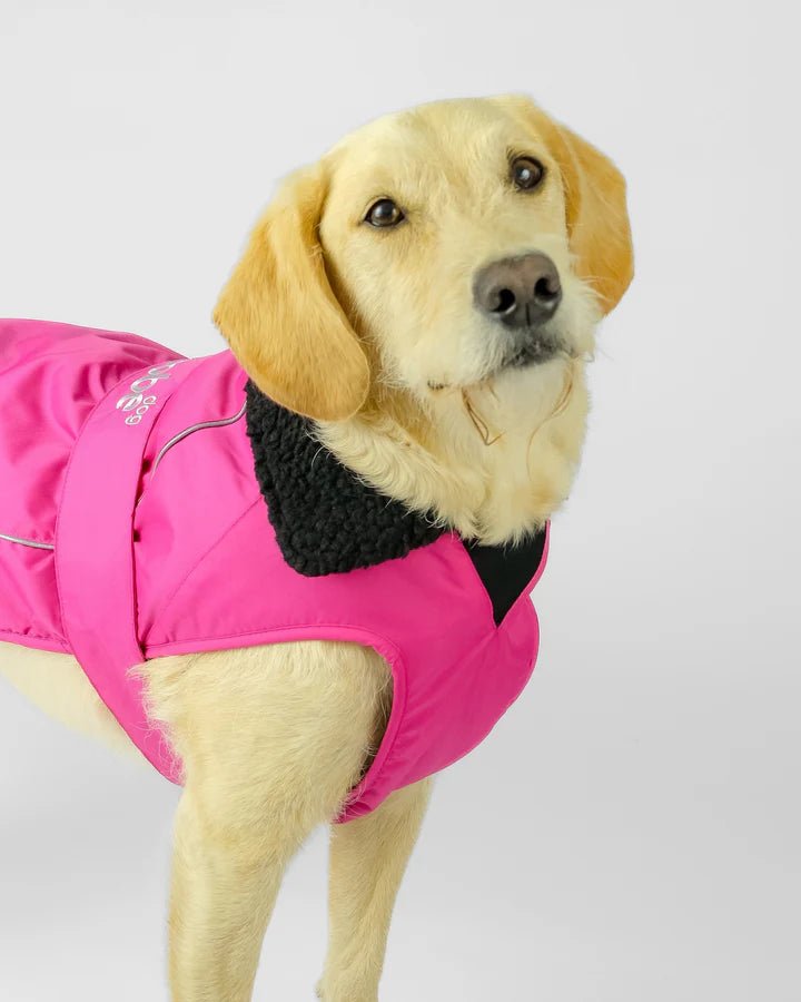 Dog Coat - Veste pour chien Rose / NoirPonchosDryrobe
