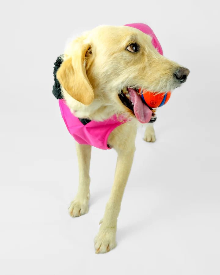 Dog Coat - Veste pour chien Rose / NoirPonchosDryrobe