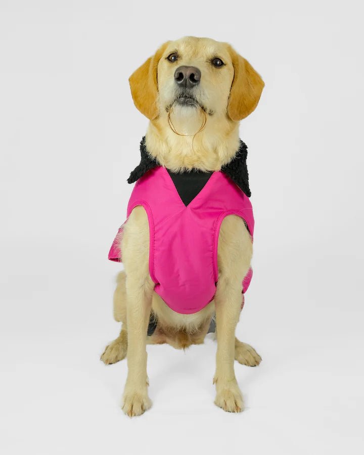 Dog Coat - Veste pour chien Rose / NoirPonchosDryrobe