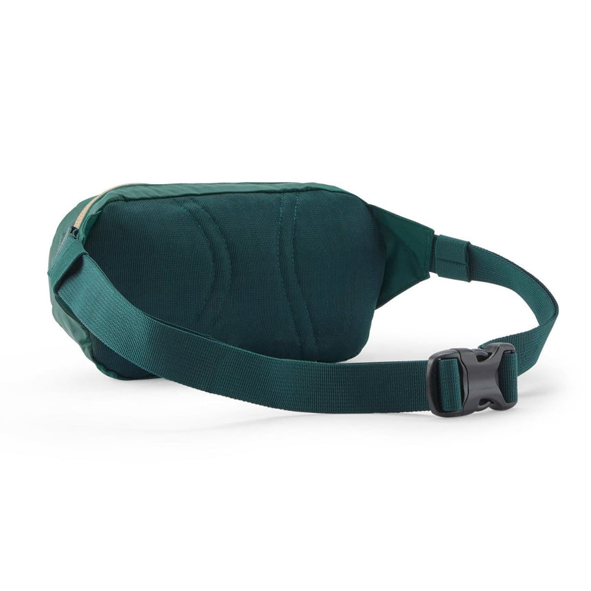 Terravia Mini Hip Pack - Sac Banane 1LSacochesPatagonia