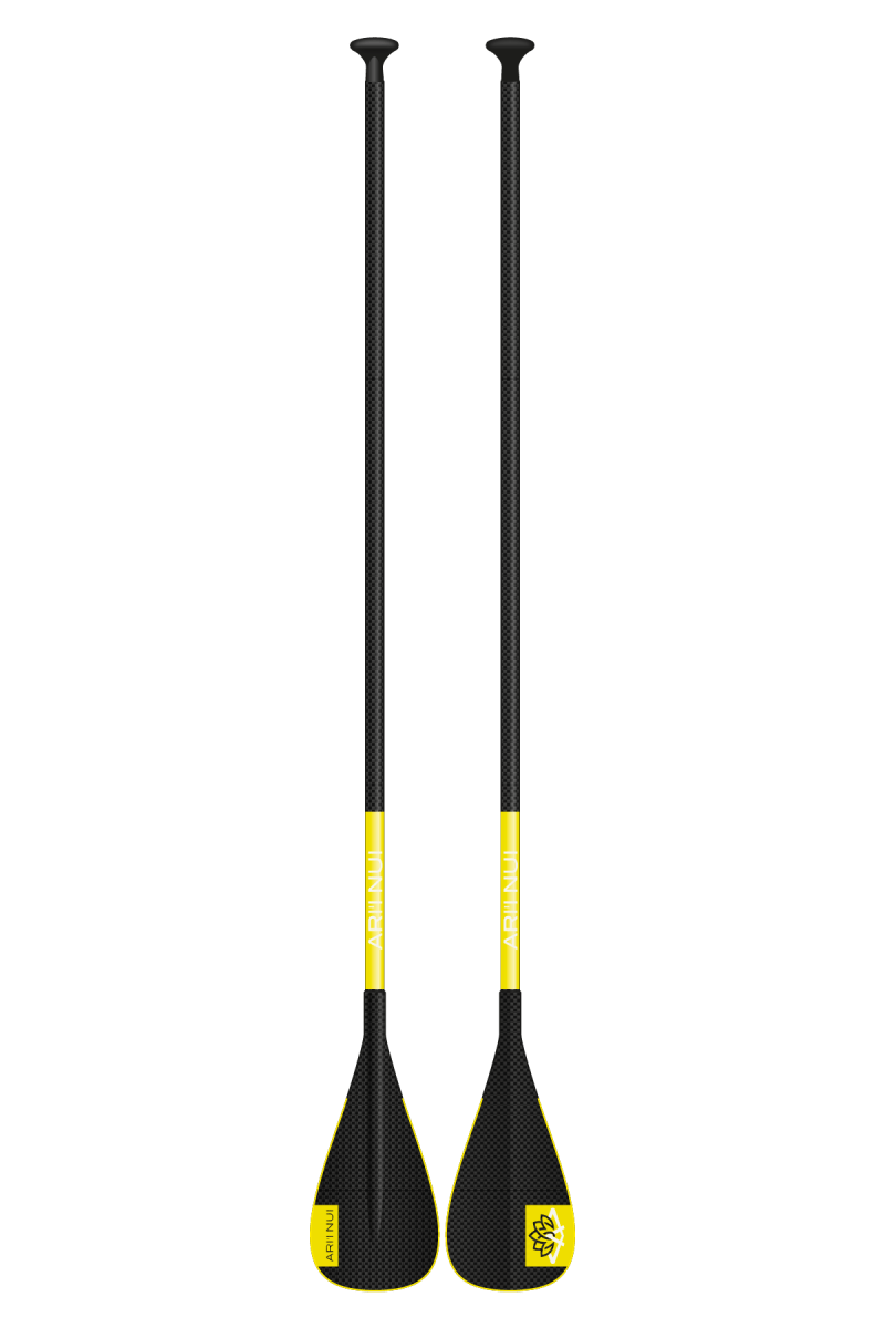 Carbon Pagaie De Sup#PaddlesAri'inui