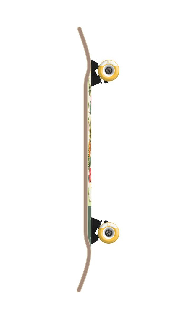 Flying Wheels Nassau Cruiser#PremiumFlying Wheels