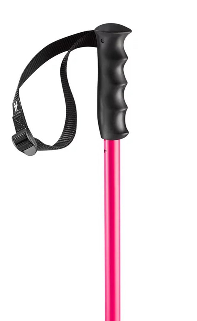 Prodigy batons de ski#Batons SkiFaction