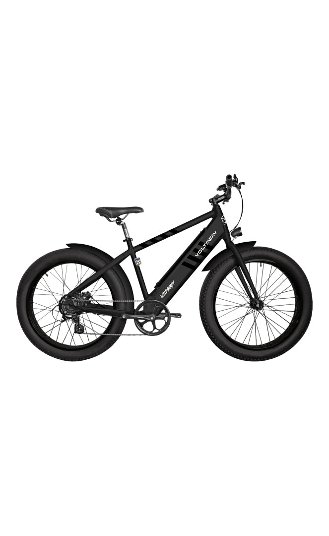 Wildbeast Vélo ÉlectriqueVelos Beach CruiserVoltaway