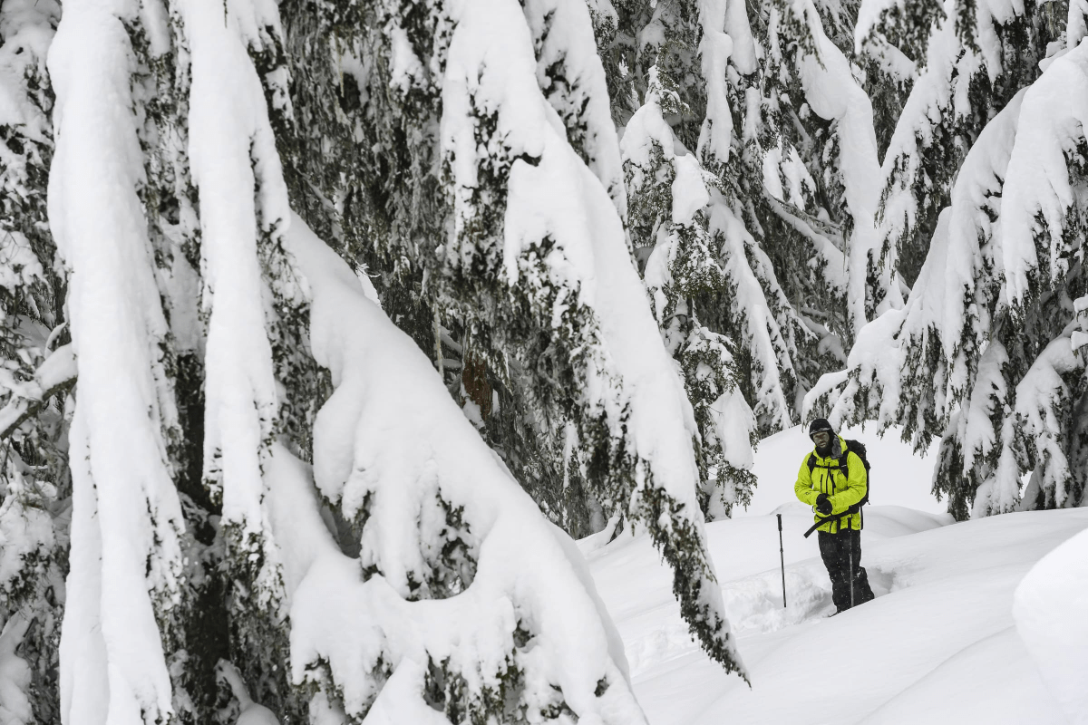 Nouveautés Montagne - HawaiiSurf