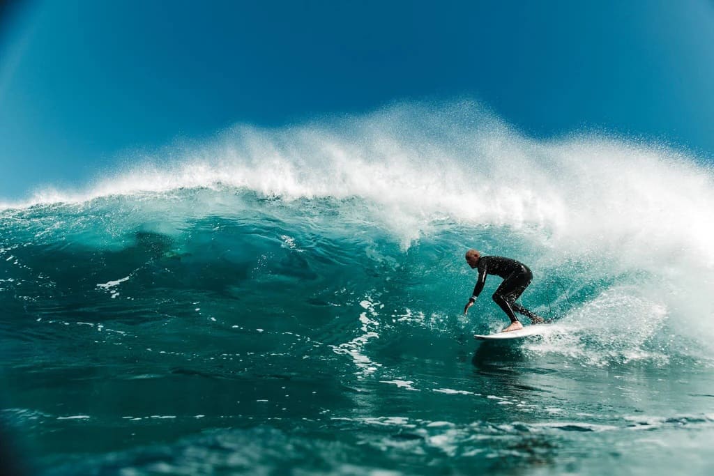 Rusty - HawaiiSurf