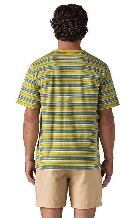 Daily Pocket Tee Shirt Manches Courtes Homme#Tee ShirtsPatagonia