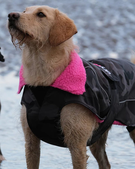 Dog Coat - Veste pour chien Noir Camo / RosePonchosDryrobe