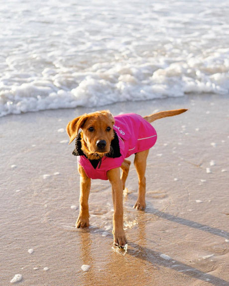 Dog Coat - Veste pour chien Rose / NoirPonchosDryrobe