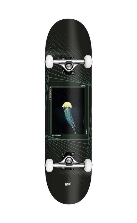 Elly Planche De Skate 8.125#Skateboard StreetUeber