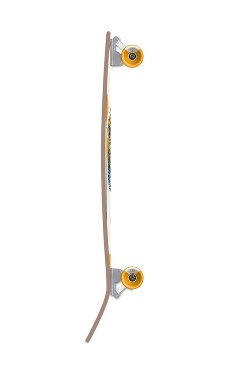 Flying Wheels Tropical Cruiser 35#PremiumFlying Wheels