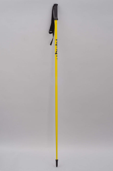 Motive Bâtons De Ski#Batons SkiArmada